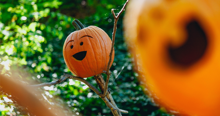 The 12 Essential Ann Arbor Area Events to Attend October 2018